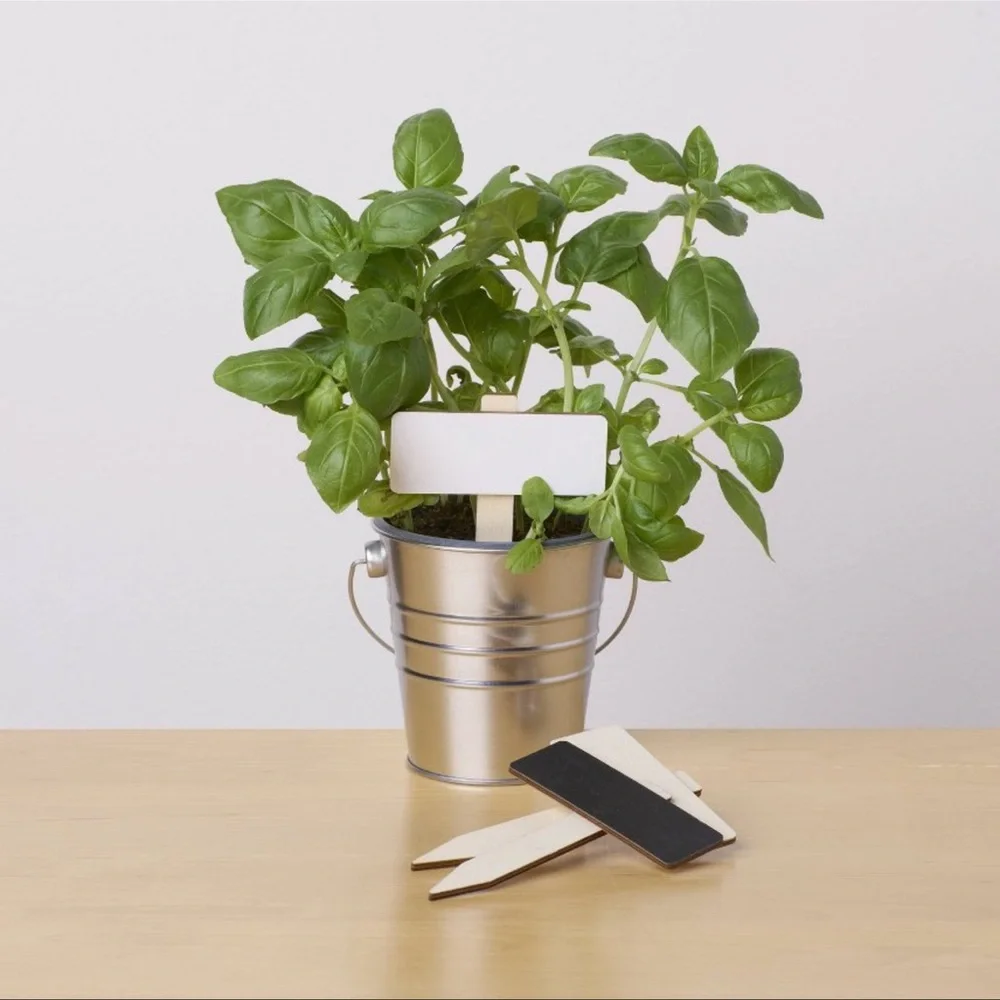 Target Gardening Bundle
